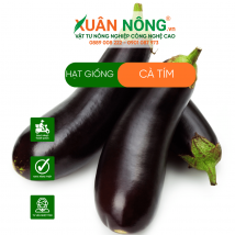 Hạt giống cà tím