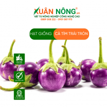 Hạt giống cà tím trái tròn