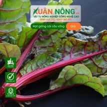 Hạt giống cải cầu vồng