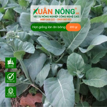 Hạt giống cải làn ăn bông