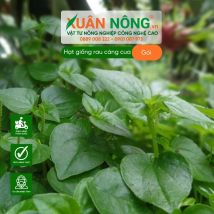 Hạt giống rau càng cua