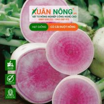 HẠT GIỐNG CỦ CẢI RUỘT HỒNG