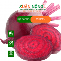 Hạt giống củ dền
