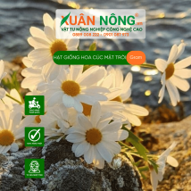 Hạt giống hoa cúc mặt trời