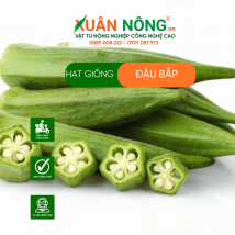 Hạt giống đậu bắp
