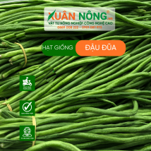 Hạt giống đậu đũa