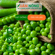 Hạt giống đậu hà lan