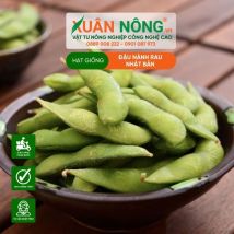 HẠT GIỐNG ĐẬU NÀNH RAU NHẬT BẢN