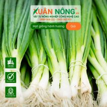Hạt giống hành hương
