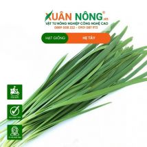 HẠT GIỐNG HẸ TÂY