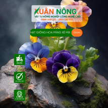 Hạt giống hoa păng xê mix