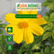 Hạt giống hoa sao nhái vàng