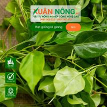 Hạt giống lá giang