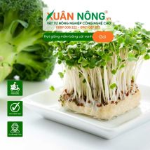Hạt giống mầm bông cải xanh