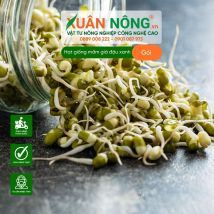 Hạt giống mầm giá đậu xanh