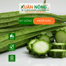 Hạt giống mướp khía