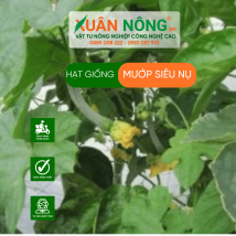 Hạt giống mướp siêu nụ