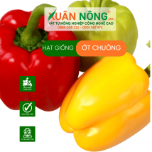 Hạt giống ớt chuông