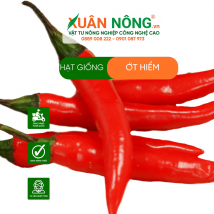Hạt giống ớt hiểm