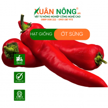 Hạt giông ớt sừng