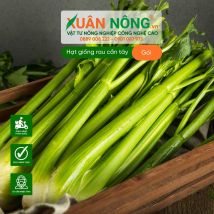Hạt giống rau cần tây