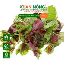 Hạt giống rau dền 3 màu