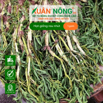 Hạt giống rau nhút