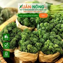 Hạt giống súp lơ baby
