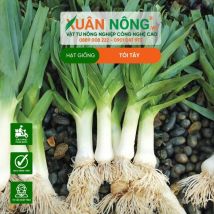 HẠT GIỐNG TỎI TÂY