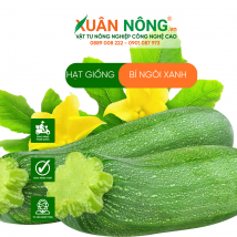 Hạt giống bí ngòi xanh