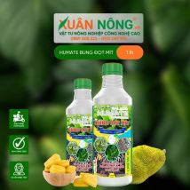 Humate bung đọt mít