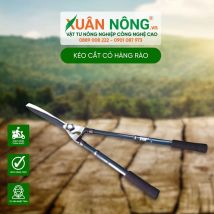 Kéo cắt cỏ hàng rào