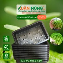 Khay nhựa trồng rau