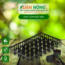 Khay ươm nhật bản