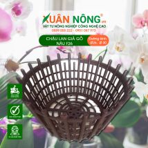 Chậu nhựa trồng lan - Chậu lan giả gỗ nâu F26
