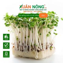 Hạt giống mầm củ cải trắng