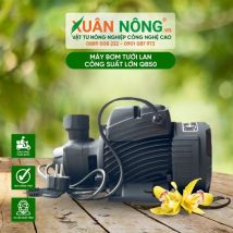 Máy bơm tưới lan công suất lớn QB50