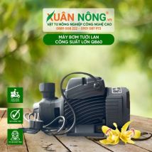 Máy bơm tưới lan công suất lớn QB60