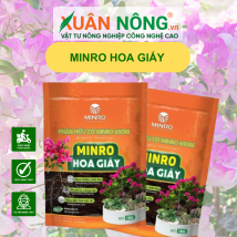 MINRO HOA GIẤY