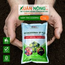 Nấm trichoderma