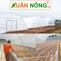 Nhà kính phơi sấy nông sản