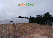 Nhà màng giá rẻ