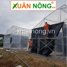 Nhà màng nuôi ruồi lính đen