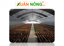 Nhà màng trồng nấm