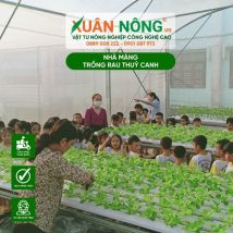 Hệ thống nhà màng trồng rau thuỷ canh