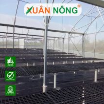 Nhà màng ươm cây giống