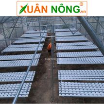 Mô hình nhà màng và giàn rau thuỷ canh