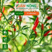 HẠT GIỐNG ỚT XIÊM RỪNG