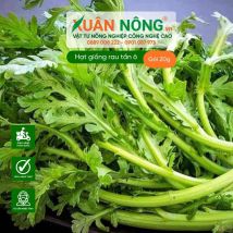 Hạt giống rau tần ô