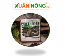 Than bùn peatmoss